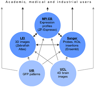 Database Structure